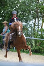 JuniorenDSC_1677.jpg