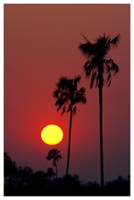 Sonnenuntergang Hwange Mbiza002.jpg