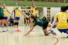 handball-8730.jpg