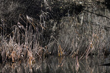 Ufer12_2016.jpg