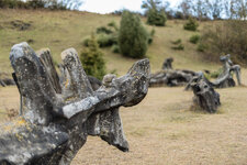 Planar_DSLR-7378.jpg