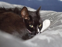 IMG_2563.JPG