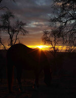 02 Sonnenaufgang Rocky K.jpg