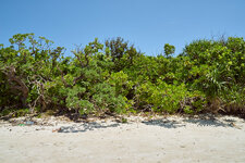 DSC05472.jpg