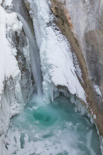 IMG_2965.jpg
