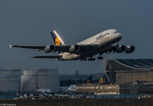 A380 LH.jpg