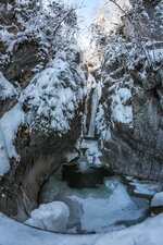 IMG_3804comp.jpg