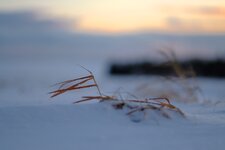 DSCF3227.jpg