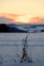 DSCF3246.jpg