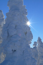 DSCF3277.jpg