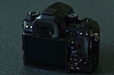 DSLR_F_ACEM1189.JPG