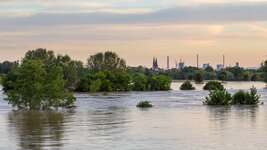 Ladenburger Hochwasser 06-2013-97.jpg