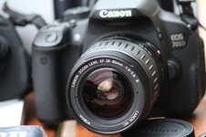 J7D_9636kle.jpg