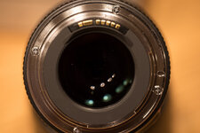 1Z4A0027-001.jpg