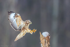 5D3_6353-3.jpg 5D3_6353-3.jpg