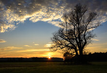 DSC_2392.jpg
