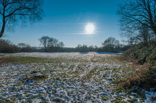 DSC_0082-2.jpg