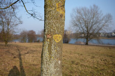 DSCF0469_s.jpg