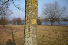 DSCF0470_s.jpg