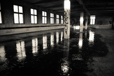 FX7_4961-2.jpg