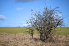 DSCF3916.jpg