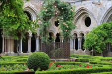 IMG_2001a_web.jpg