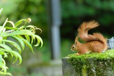 comp_DSC_4716.jpg