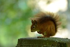 comp_DSC_4878.jpg
