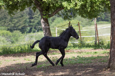 IMG_5147_C.jpg