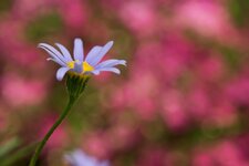 IMG_8525klein.jpg