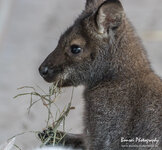 Zoo_KA_0117-62.jpg