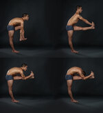 Dandayamana Janushirasana - Standing Head to Knee.jpg