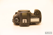 5d3-5.jpg