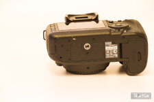 5d3-6.jpg