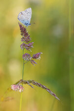 20130611-IMG_1038.jpg