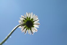 comp_IMG_9278.jpg