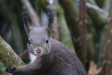 DSC_6152.jpg