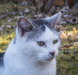 A6300978-2.jpg