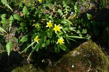 2017-04-09_15h32m48s_Roseburg_Spaziergang.jpg