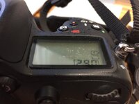 IMG_4603a.JPG