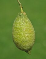 DSC_3223.jpg