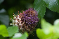K7__0212.jpg