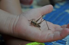 DSC_4380.jpg