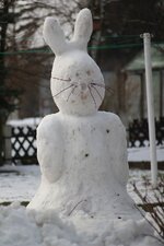 IMG_0831.jpg