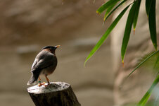 20110426-IMGP8815.jpg