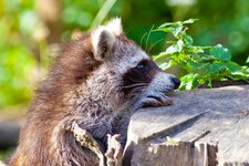 comp_IMG_9162-1-3.jpg