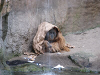 Zoo Leipzig 2007-12-20-19-12_IMG_0050.jpg