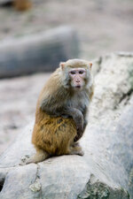 Zoo Leipzig 2008-04-12-21-56_IMG_9275.jpg