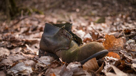 Alter Schuh im Wald.jpg