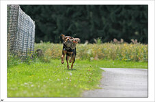 IMG_3973 Kopie.jpg